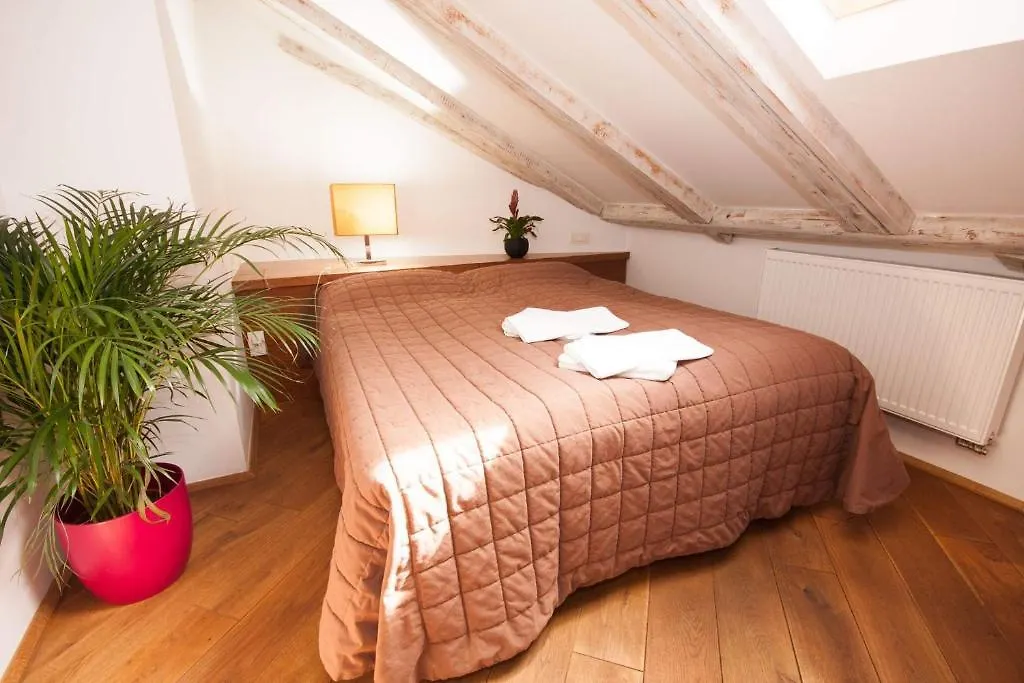 Kozna Loft Apartment Prague 0*,